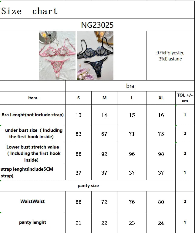 Sexy Sheer Lingerie Set Embroidery Transperant Pornostar Lenceria Sensual Mujer Seducive Conjunto Ropa Interior Set Intimo Lace